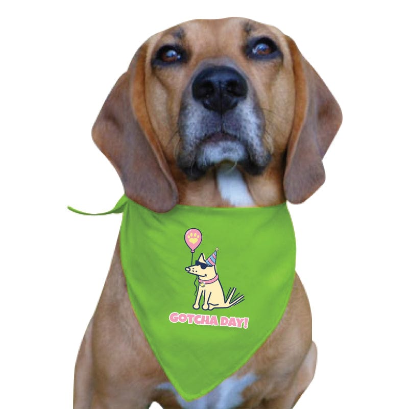 Dog gotcha day outlet bandana