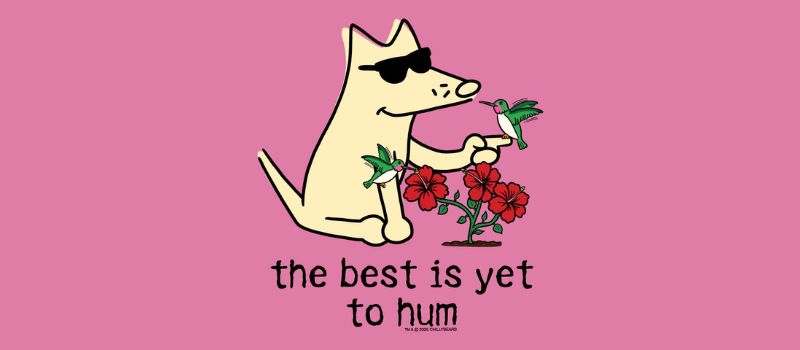 The Best is Yet to Hum – Teddy the Dog