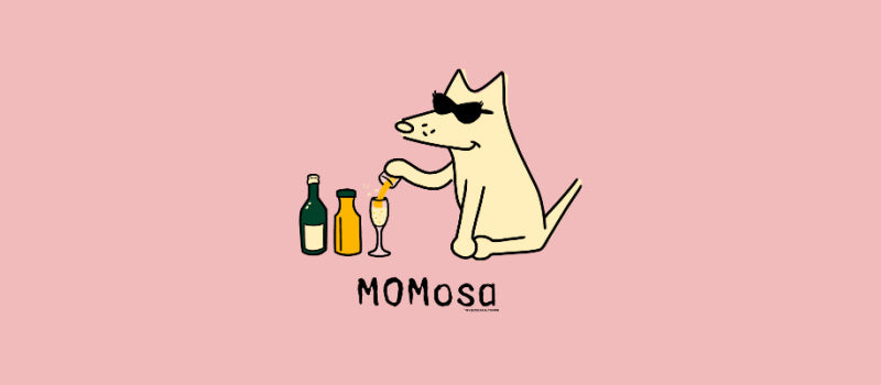 MOMosa – Teddy the Dog