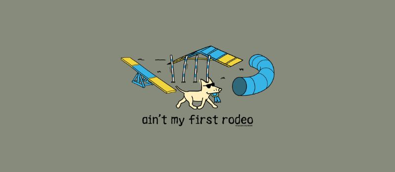 Dogs Rodeo Theme Aint My First Rodeo – Teddy the Dog
