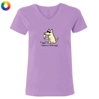 I Deserve a Little Treat - Ladies T-Shirt V-Neck