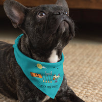 Trick and Treat  - Doggie Bandana