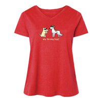 Why the Long Face - Ladies Curvy V-Neck Tee