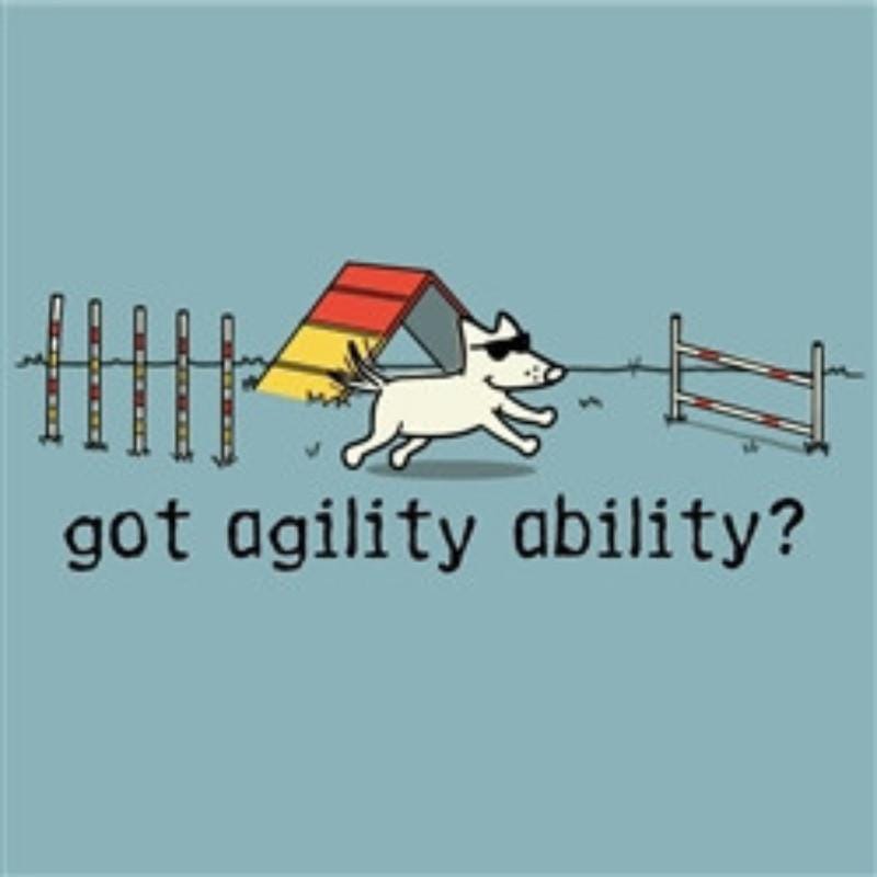 Dog Agility Trainer T-Shirt, Long Sleeve, Sweatshirt & Hoodie - Fun Gift For Dog Behaviorists